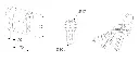 Schermafbeelding 2025-06-24 141115.webp