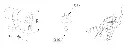 Schermafbeelding 2025-06-24 141410.webp
