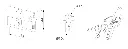 Schermafbeelding 2025-06-24 141540.webp