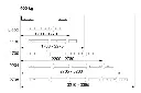 Schermafbeelding 2025-06-27 093221.webp