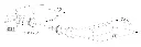 Schermafbeelding 2025-08-07 124840.webp