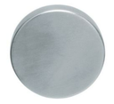 67102/R Knop gatdeel vlak recht rvs mat