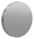 Afwerkrozet RVS Blind