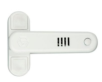 FSA 2020