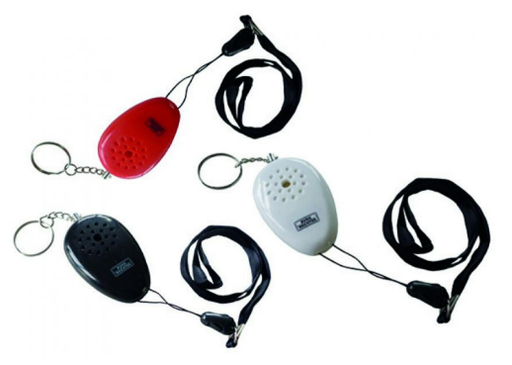 Burg Wächter PA 2006